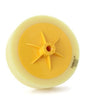 Polishing Pad